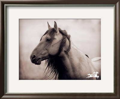 Chief by Kimerlee Curyl Pricing Limited Edition Print image
