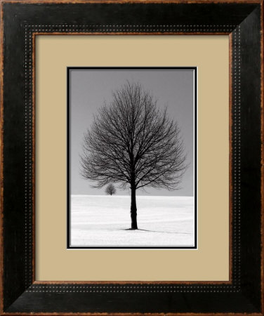 Winter Tree by Ilona Wellman Pricing Limited Edition Print image
