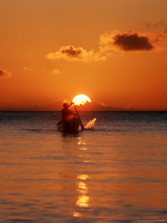 Local Paddling Dugout Canoe, Roatan, Bay Islands by Yvette Cardozo Pricing Limited Edition Print image