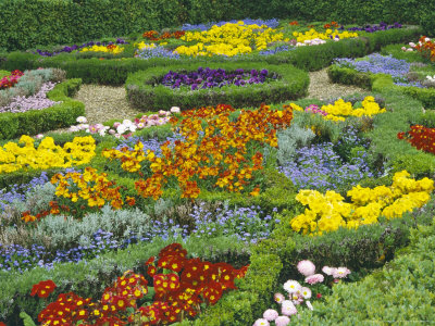 Carpet Bedding In Parterre Buxus Edging, Primula, Viola Myosotis, Bellis, Annuals by Linda Burgess Pricing Limited Edition Print image