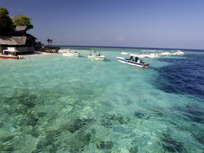 Sipidan Island, Malaysia by David B. Fleetham Pricing Limited Edition Print image