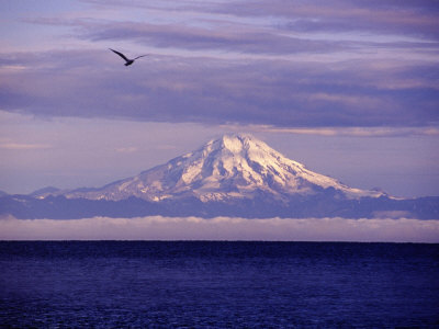 Mt. Redoubt Volcano & Cook Inlet Ninilchik, Ak by Troy & Mary Parlee Pricing Limited Edition Print image