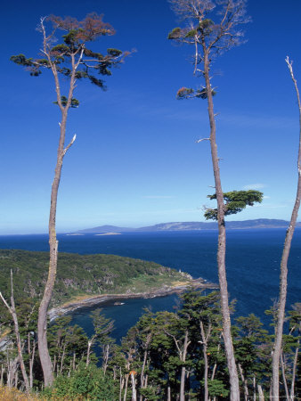 Estancia Haberton, Tierra Del Fuego, Argentina by Walter Bibikow Pricing Limited Edition Print image