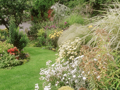 Small Suburban Garden Lawn Between Mixed Borders, Mary Paynes Garden, Somerset by Mark Bolton Pricing Limited Edition Print image