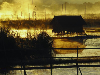 Fishing Hut, Reeds, Inle Lake, Myanmar by Inga Spence Pricing Limited Edition Print image