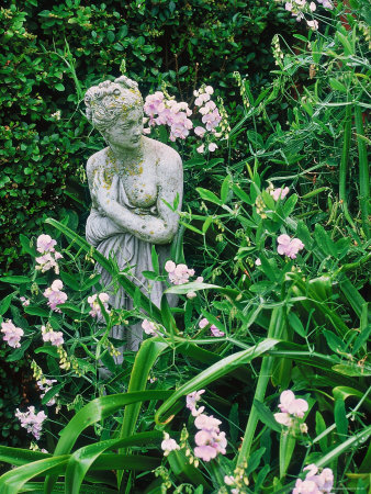 Statue (Woman), Lathyrus Latifolius In Cottage Garden, Surrey by Rex Butcher Pricing Limited Edition Print image