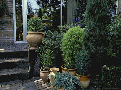 Wooden Steps And Brick Patio With Conifers Containers Des, Koelmeyer Bros by Henk Dijkman Pricing Limited Edition Print image