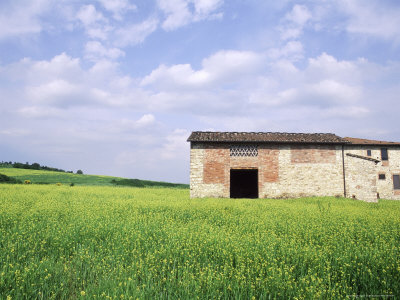 Farmhouse In Tuscany, Italy by Bill Bachmann Pricing Limited Edition Print image