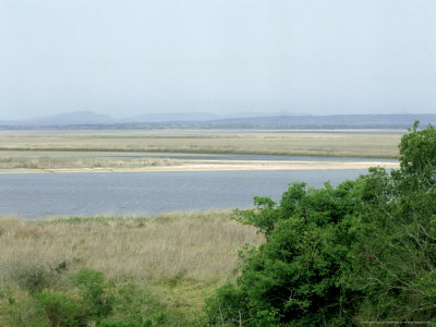 The Greater Sand Lucia Wetland Park, South Africa by Patricio Robles Gil Pricing Limited Edition Print image