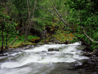 Rapids In Lulledalen Nature Park, North Norway by Heikki Nikki Pricing Limited Edition Print image