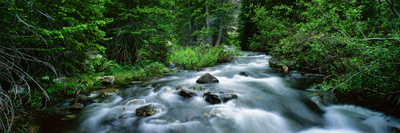Mill Creek, Rocky Mountain National Park, Colorado by Robert Kurtzman Pricing Limited Edition Print image