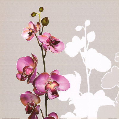 Silhouette Orchids I by Roxi Gray Pricing Limited Edition Print image