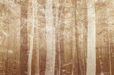 Forest Mist by Pela & Silverman Pricing Limited Edition Print image