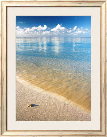 Starfish by Peter Cade Pricing Limited Edition Print image