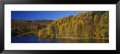 Forest At The River Side, Highland Perthshire, Loch Faskally, Scotland by Panoramic Images Pricing Limited Edition Print image