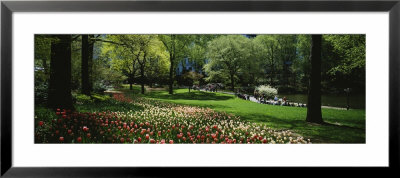 Flowers In A Park, Central Park, Manhattan, New York, Usa by Panoramic Images Pricing Limited Edition Print image