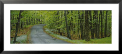 Empty Road Passing Through A Forest, Peninsula State Park, Door County, Wisconsin, Usa by Panoramic Images Pricing Limited Edition Print image