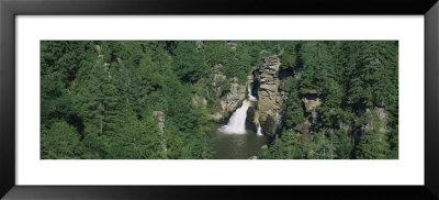 Waterfall In A Forest, Linville Falls, Linville Gorge Wilderness, North Carolina, Usa by Panoramic Images Pricing Limited Edition Print image