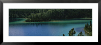 Pine Trees Along A Lake, Emerald Lake, Alaska, Usa by Panoramic Images Pricing Limited Edition Print image