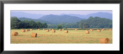 Hay Bales In A Field, Murphy, North Carolina, Usa by Panoramic Images Pricing Limited Edition Print image