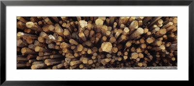 Stack Of Logs, British Columbia, Canada by Panoramic Images Pricing Limited Edition Print image
