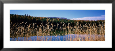 Reflection Of Hills On Water, Rainy Lake, Montana, Usa by Panoramic Images Pricing Limited Edition Print image
