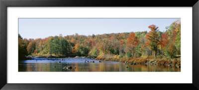 Deciduous Trees Along Moose River, Adirondack Mountains, Adirondack State Park, New York, Usa by Panoramic Images Pricing Limited Edition Print image