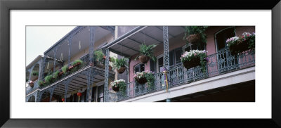 Potted Plants Hanging From Balconies, French Quarter, New Orleans, Louisiana, Usa by Panoramic Images Pricing Limited Edition Print image