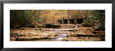 Stream Flowing Through The Forest, Cucumber Run, Ohiopyle State Park, Pennsylvania, Usa by Panoramic Images Pricing Limited Edition Print image