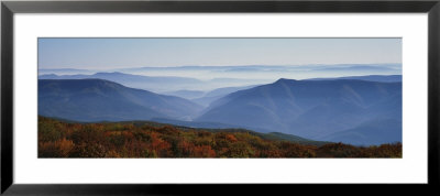 Fog Over Hills, Dolly Sods Wilderness, Monongahela National Forest, West Virginia, Usa by Panoramic Images Pricing Limited Edition Print image