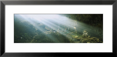Sunbeams Shining On Rocks, Belize by Panoramic Images Pricing Limited Edition Print image