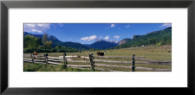 East Folk Road, Pagosa, Colorado, Usa by Panoramic Images Pricing Limited Edition Print image