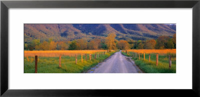 Road At Sundown, Cades Cove, Great Smoky Mountains National Park, Tennessee, Usa by Panoramic Images Pricing Limited Edition Print image