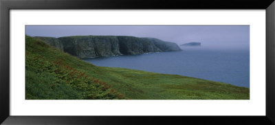 Grass On An Island, Elliston, Bonavista Peninsula, Newfoundland And Labrador, Canada by Panoramic Images Pricing Limited Edition Print image