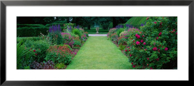 Gardens At Levens Hall, Cumbria, England, United Kingdom by Panoramic Images Pricing Limited Edition Print image
