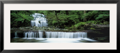 Liffey Falls, Tasmania, Australia by Panoramic Images Pricing Limited Edition Print image