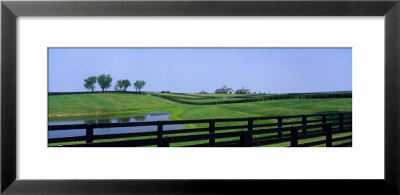 Horse Farm, Kentucky, Usa by Panoramic Images Pricing Limited Edition Print image