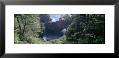 Natural Bridges Cove, Samuel H Boardman State Park, Oregon, Usa by Panoramic Images Pricing Limited Edition Print image