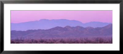 Desert At Sunrise, Anza Borrego California, Usa by Panoramic Images Pricing Limited Edition Print image