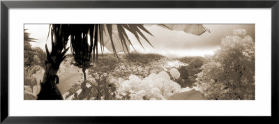 Landscape, Costa Rica by Panoramic Images Pricing Limited Edition Print image