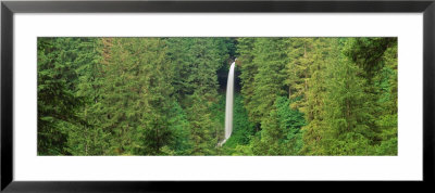 Waterfall, Silver Falls State Park, Oregon, Usa by Panoramic Images Pricing Limited Edition Print image