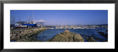Boats Docked At A Harbor, Marina, Monterey, California, Usa by Panoramic Images Pricing Limited Edition Print image