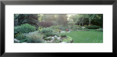 Plants In A Garden, Backyard Suburban Garden, Illinois, Usa by Panoramic Images Pricing Limited Edition Print image