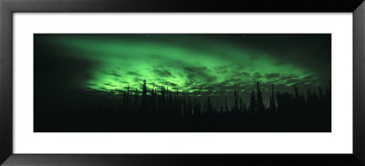 View Of The Northern Lights, Aurora Borealis, Fairbanks, Alaska, Usa by Panoramic Images Pricing Limited Edition Print image