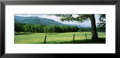 Meadow And Barbed Wire Fence, Cades Cove, Great Smoky Mountains National Park, Tennessee, Usa by Panoramic Images Pricing Limited Edition Print image