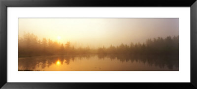 Misty Morning, Volvo Bog, Illinois, Usa by Panoramic Images Pricing Limited Edition Print image