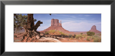 Close-Up Of A Gnarled Tree With West And East Mitten, Monument Valley, Arizona, Usa by Panoramic Images Pricing Limited Edition Print image