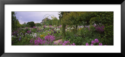 Flowers In A Garden, Foundation Claude Monet, Giverny, France by Panoramic Images Pricing Limited Edition Print image