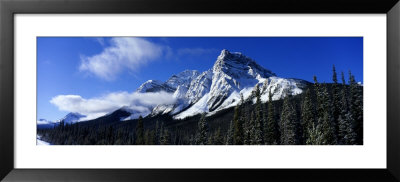 Rocky Mountains, Winter, Alberta, Canada by Panoramic Images Pricing Limited Edition Print image