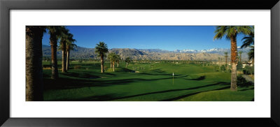 Golf Course, Desert Springs, California, Usa by Panoramic Images Pricing Limited Edition Print image